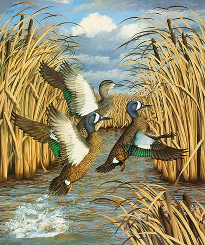 Fair weather Friends(Blue wing teal)-Copyright 1985 - 19x 22 ¼