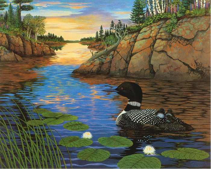 In the Beginning-Common Loon (Boundary Waters)-Copyright 1992 - 8 x 10