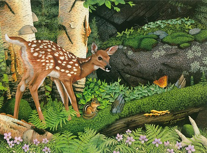 New friends in the old forest-(Fawn) Copyright 1989 - 15 1/8  x 20 ½
