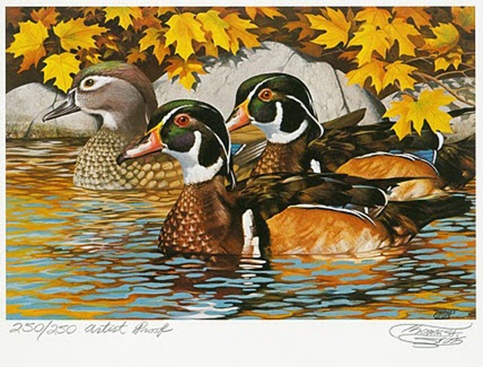 1984 Minnesota Migratory Waterfowl Print & Stamp Copyright 1984 - 6 ½ x 9