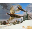 Christmas 1965 (Pheasants)--Copyright 1990 - 16 ¼ x 20 ¼