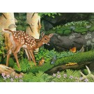 New friends in the old forest-(Fawn) Copyright 1989 - 15 1/8  x 20 ½